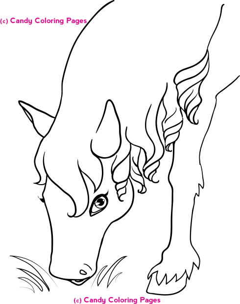 Animal Coloring Pages of Animals Horse Coloring Pages